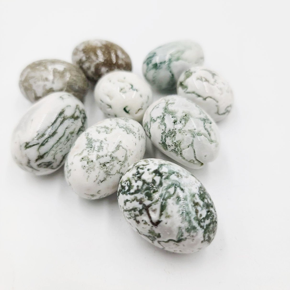 Tree Agate Tumbled Stone - Elevated Metaphysical