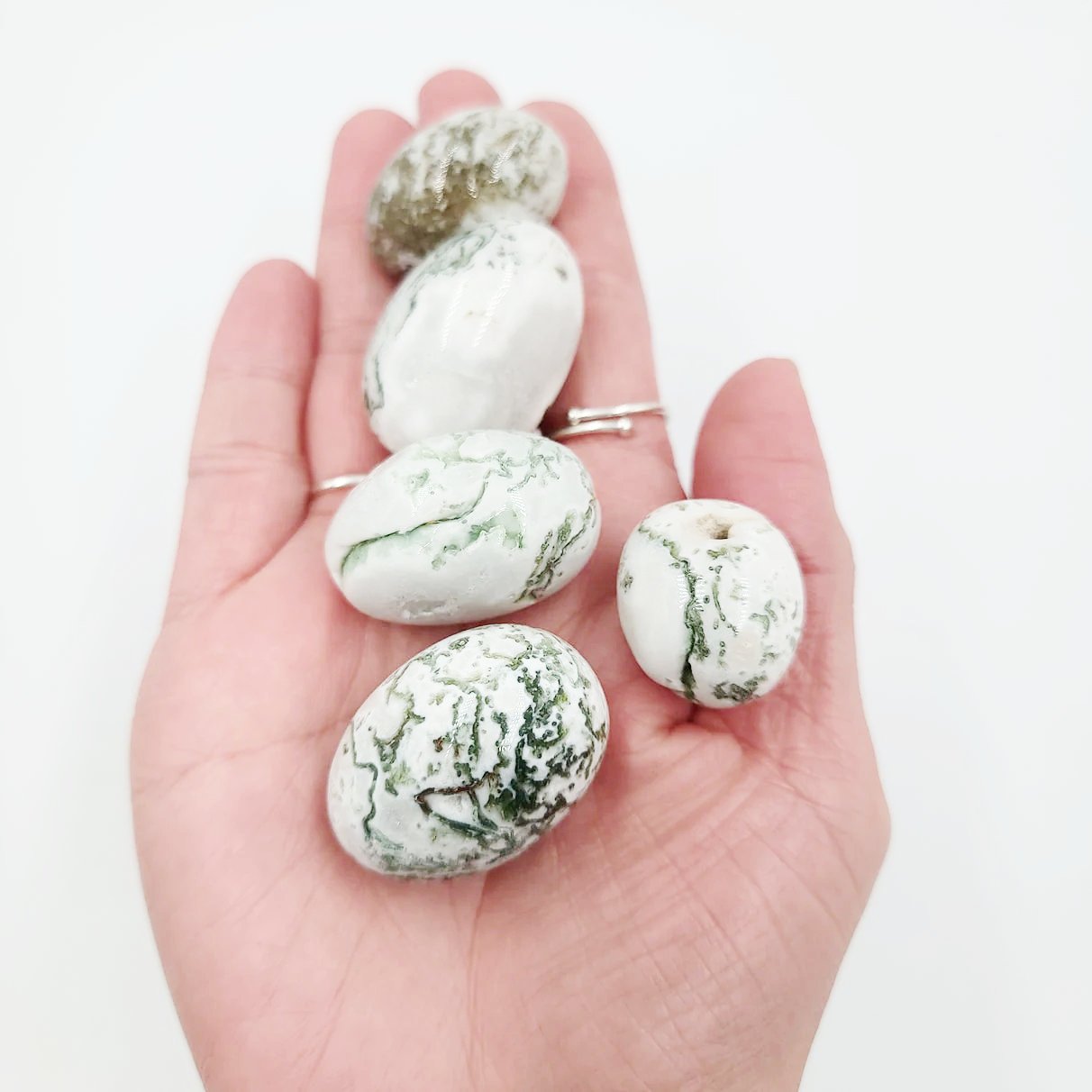 Tree Agate Tumbled Stone - Elevated Metaphysical