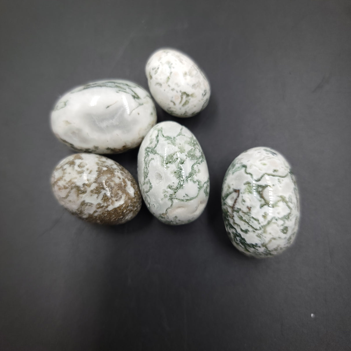 Tree Agate Tumbled Stone - Elevated Metaphysical