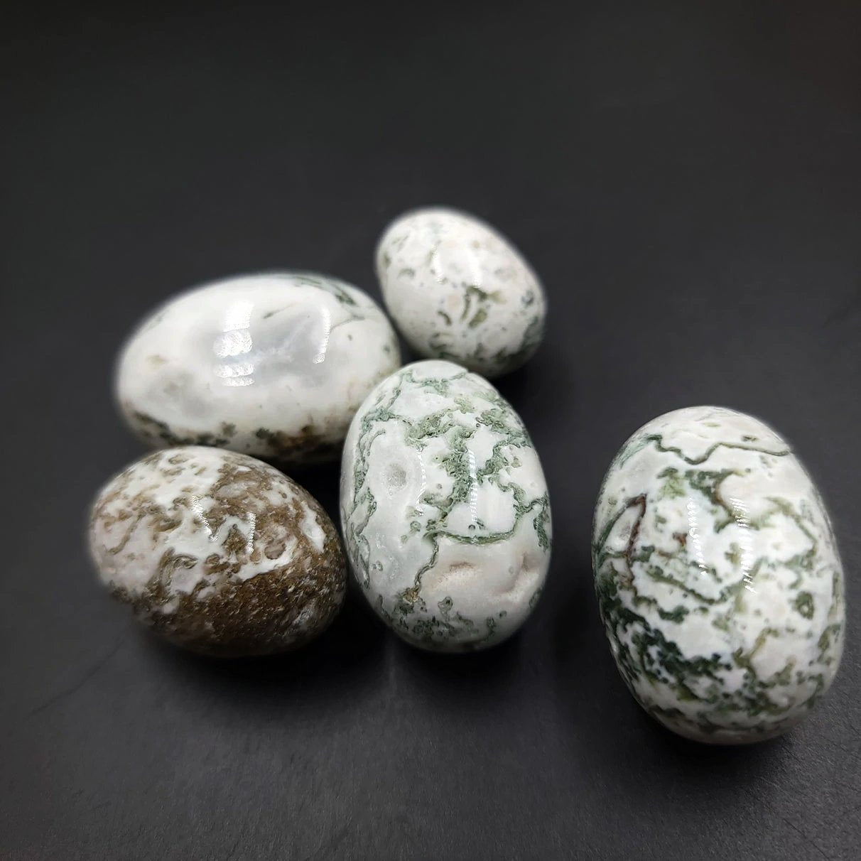 Tree Agate Tumbled Stone - Elevated Metaphysical