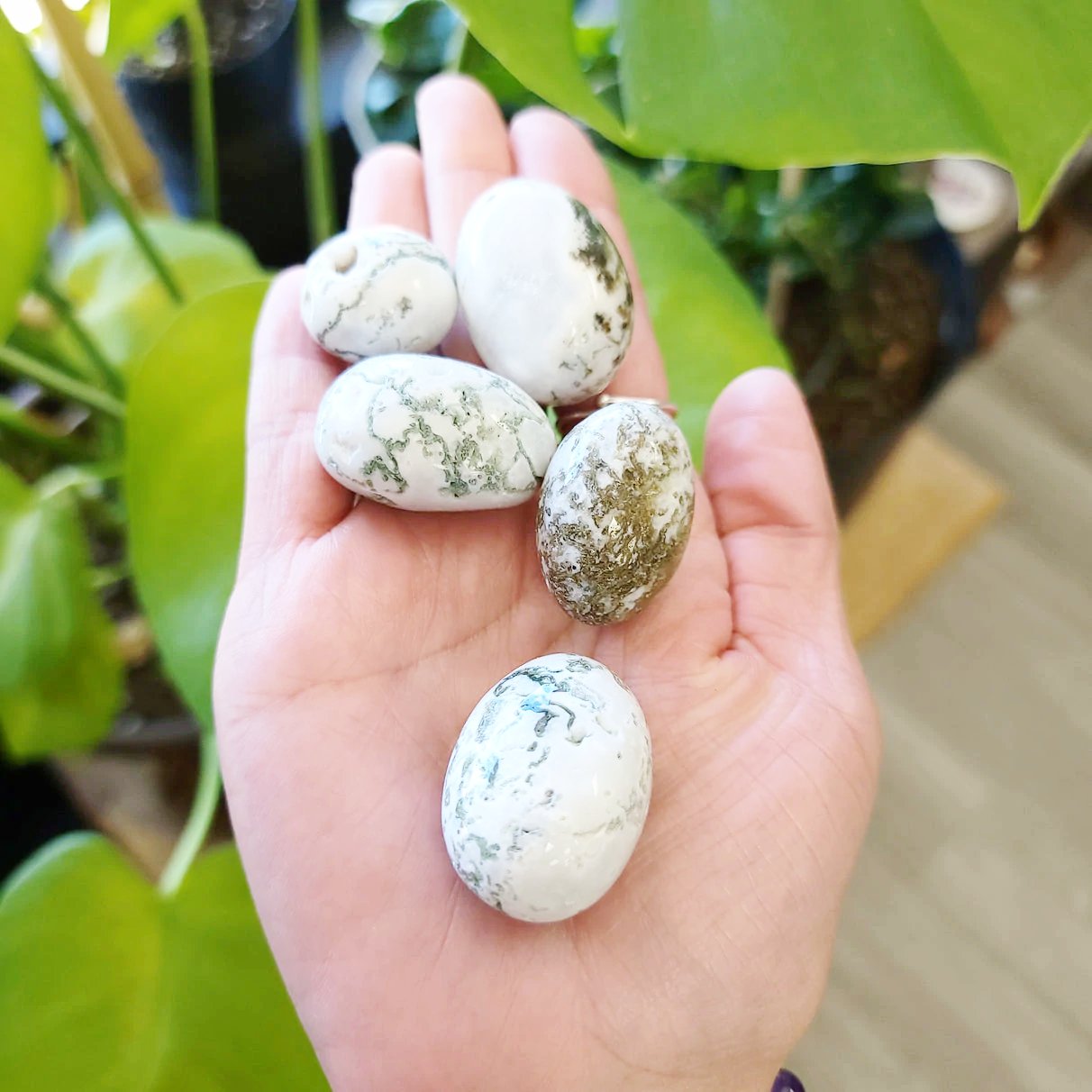 Tree Agate Tumbled Stone - Elevated Metaphysical