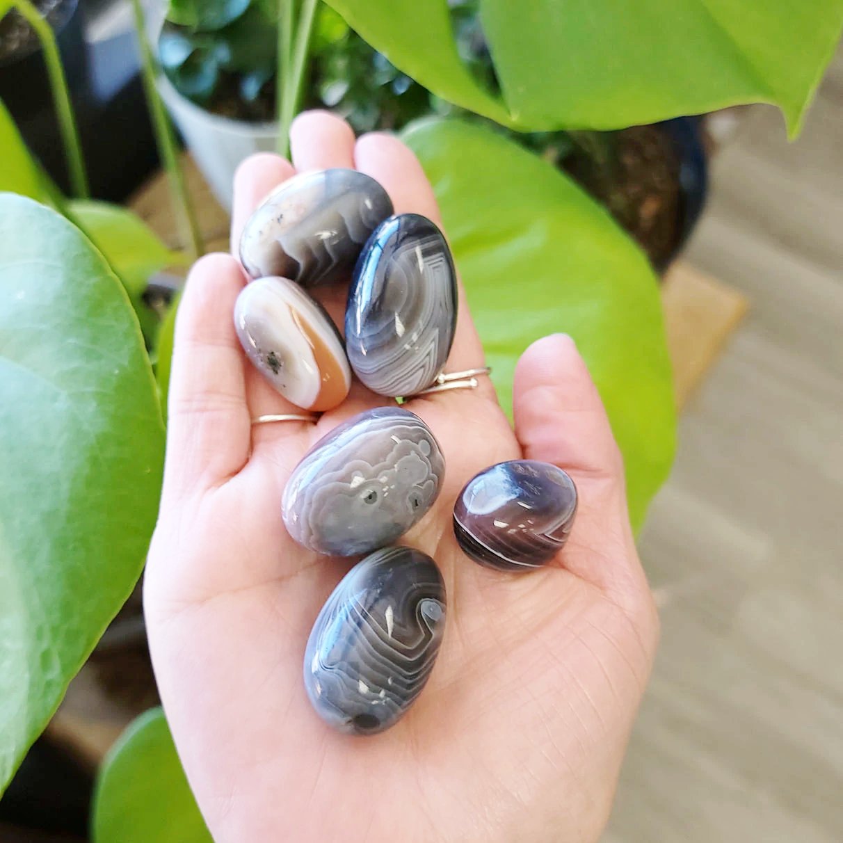Botswana Agate Tumbled Stone - Elevated Metaphysical