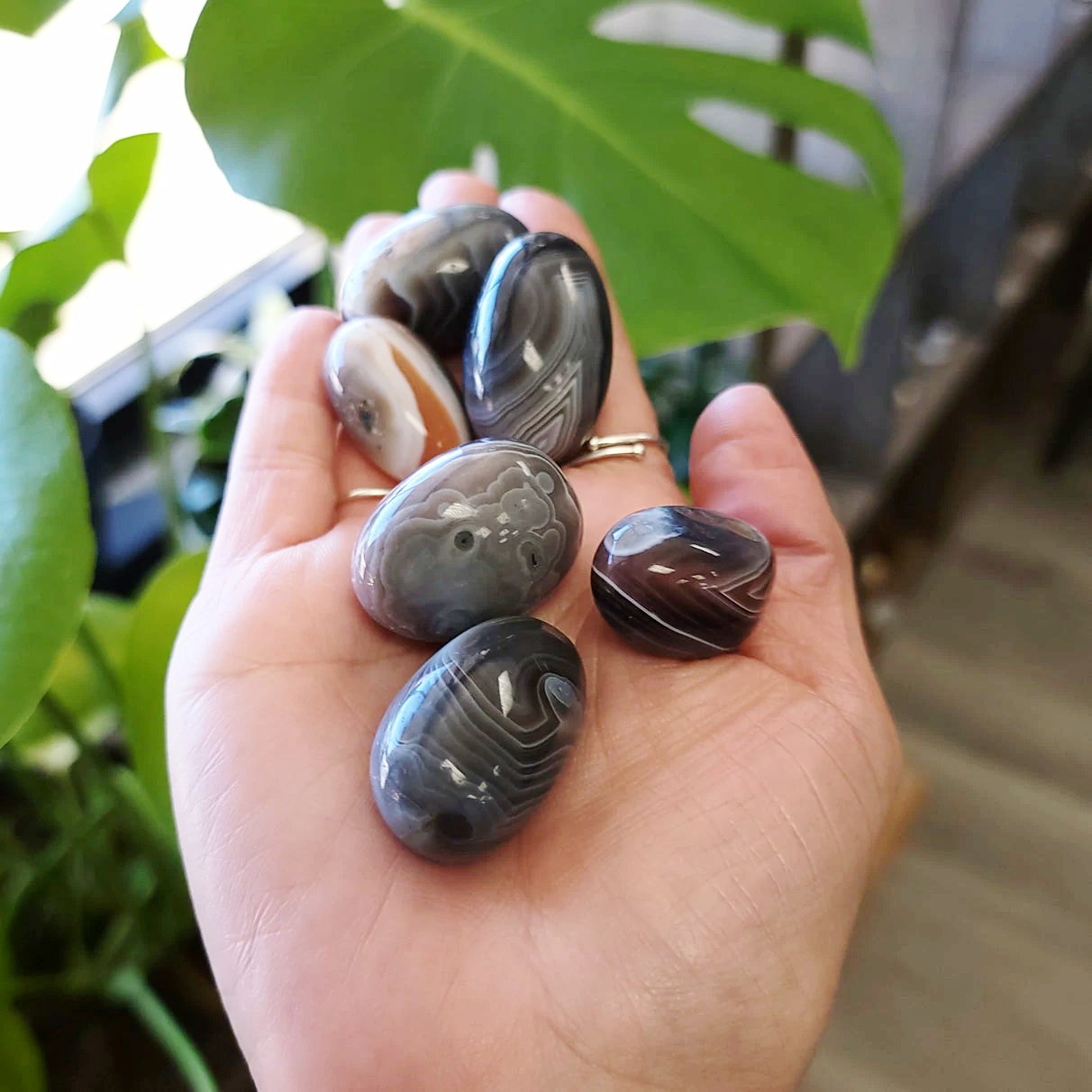Botswana Agate Tumbled Stone - Elevated Metaphysical