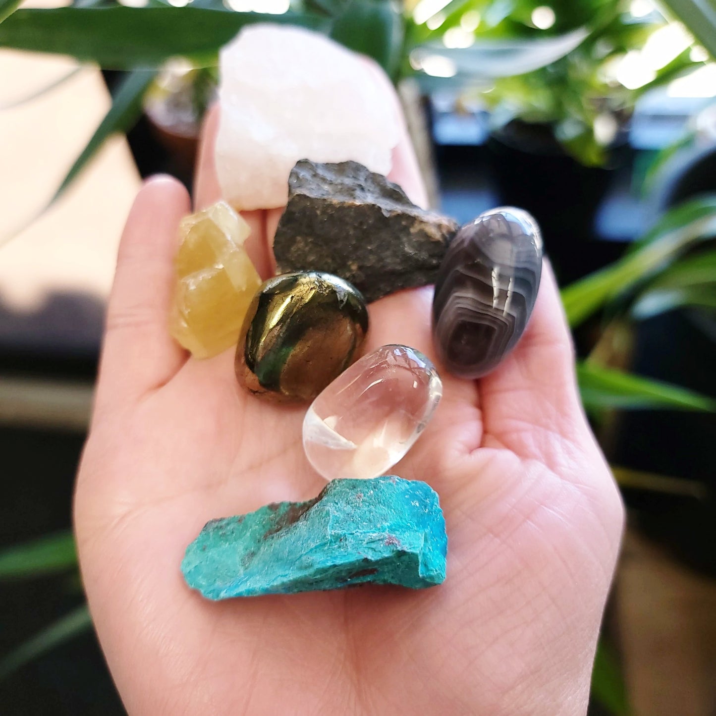 For the Love and Money - Love & Money Stone Set - Elevated Metaphysical