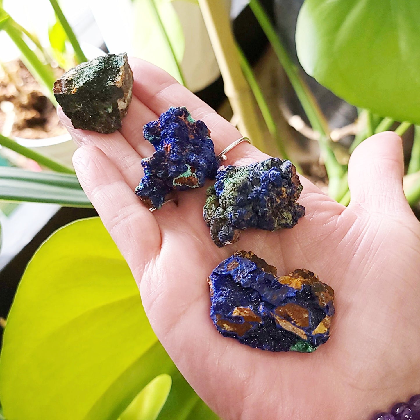 Azurite Cluster Geode Specimen small - Elevated Metaphysical