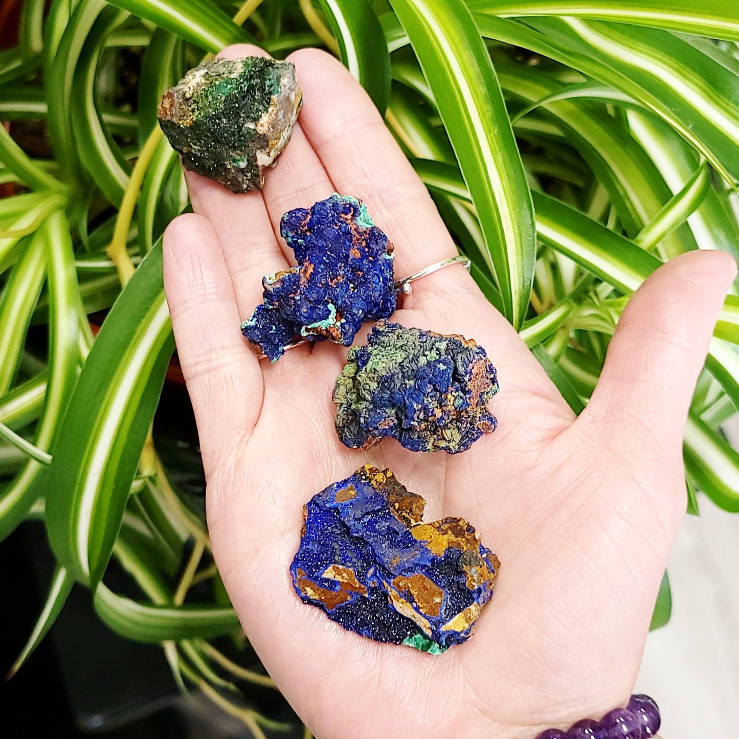 Azurite Cluster Geode Specimen small - Elevated Metaphysical
