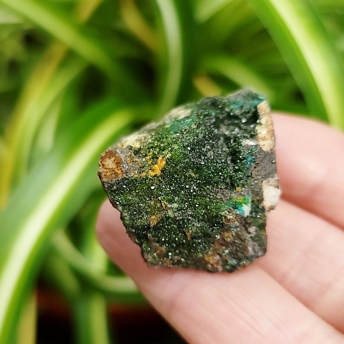 Azurite Cluster Geode Specimen small - Elevated Metaphysical