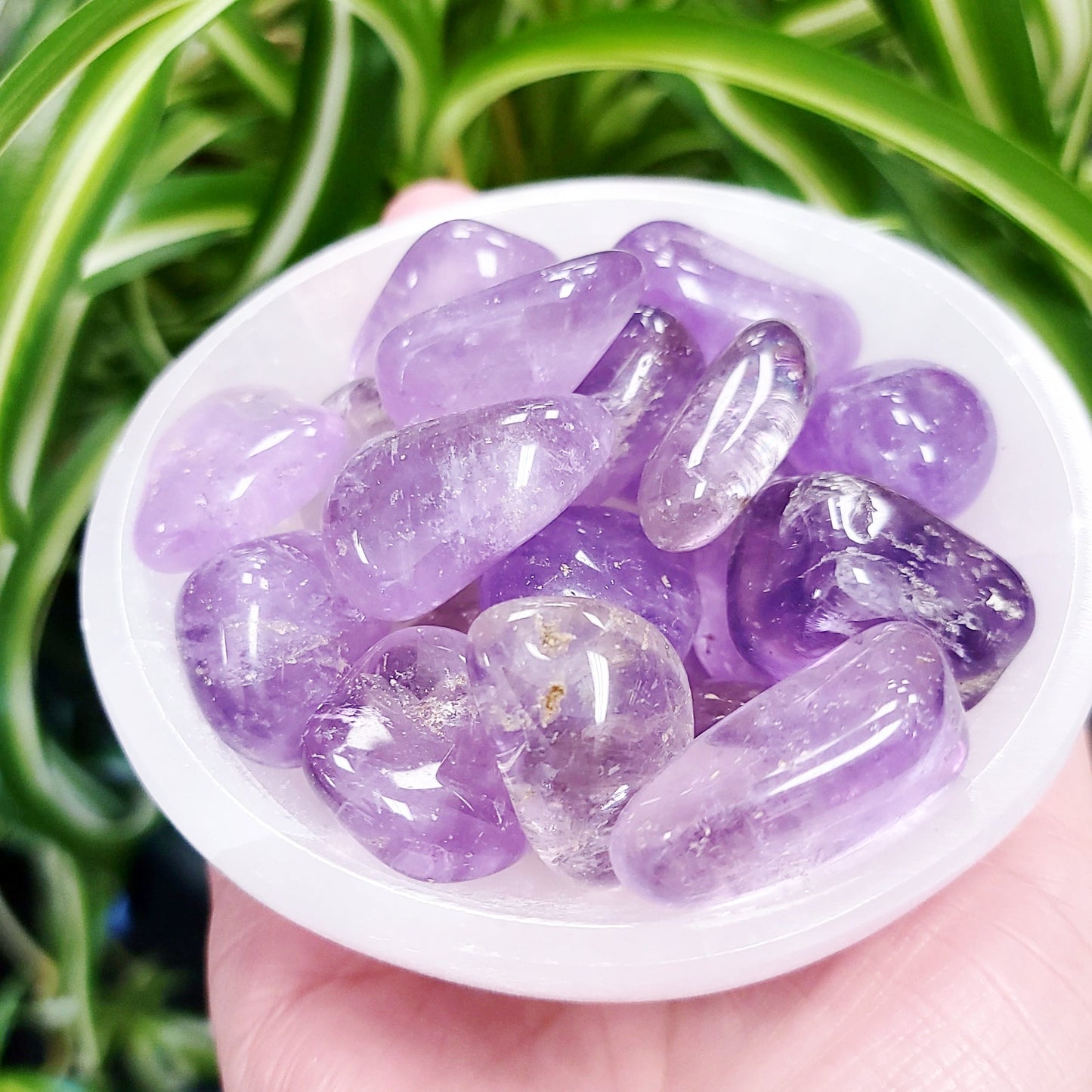 Amethyst Tumbled Stone - Elevated Metaphysical