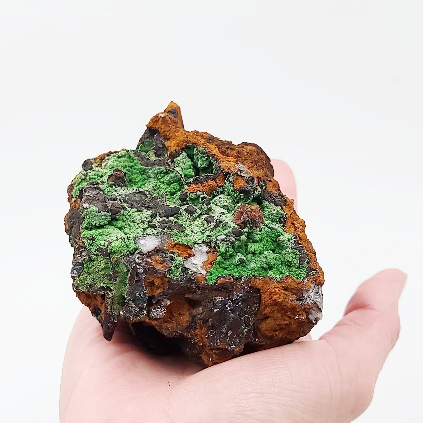 Azurite Cluster Geode Specimen "xl" - Elevated Metaphysical