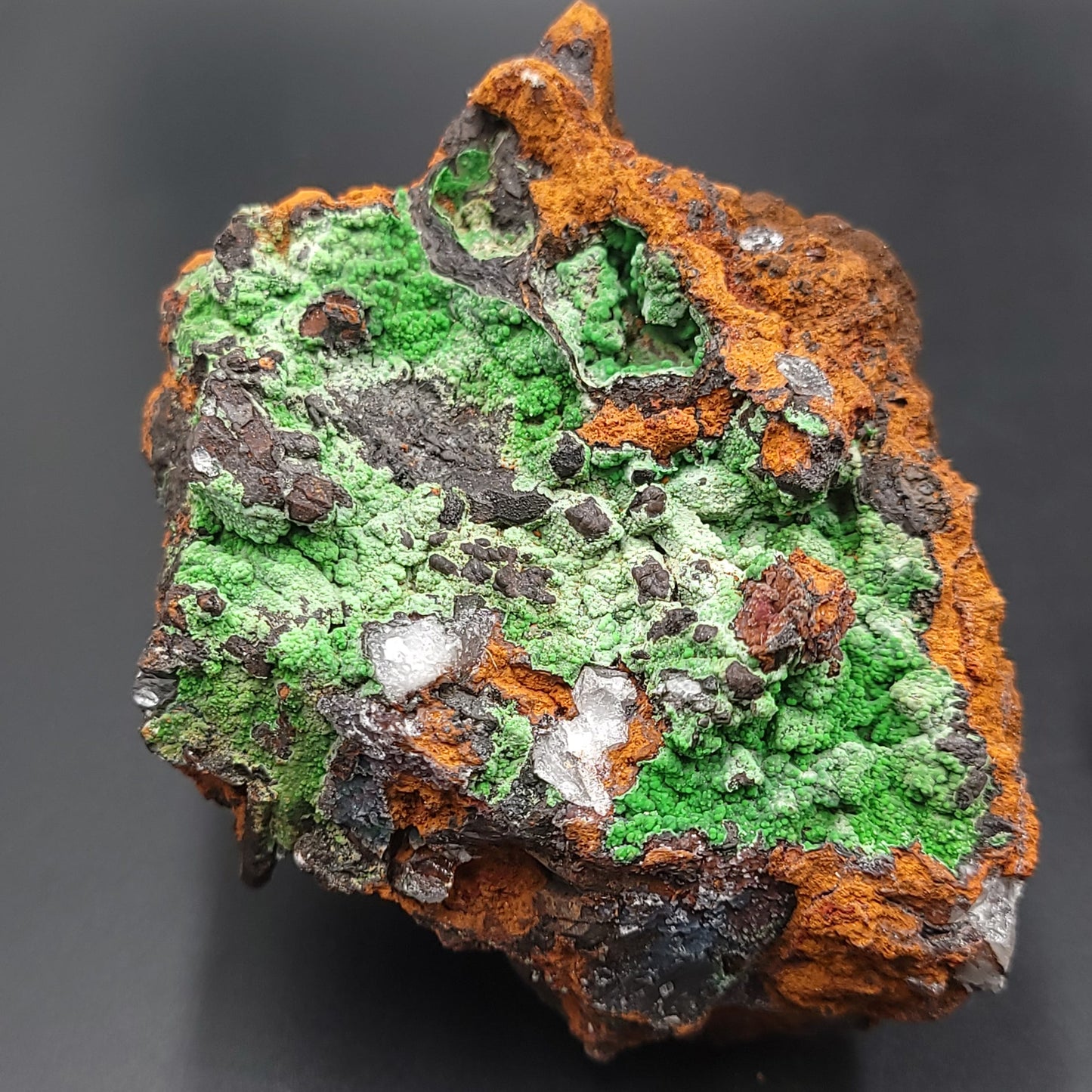 Azurite Cluster Geode Specimen "xl" - Elevated Metaphysical