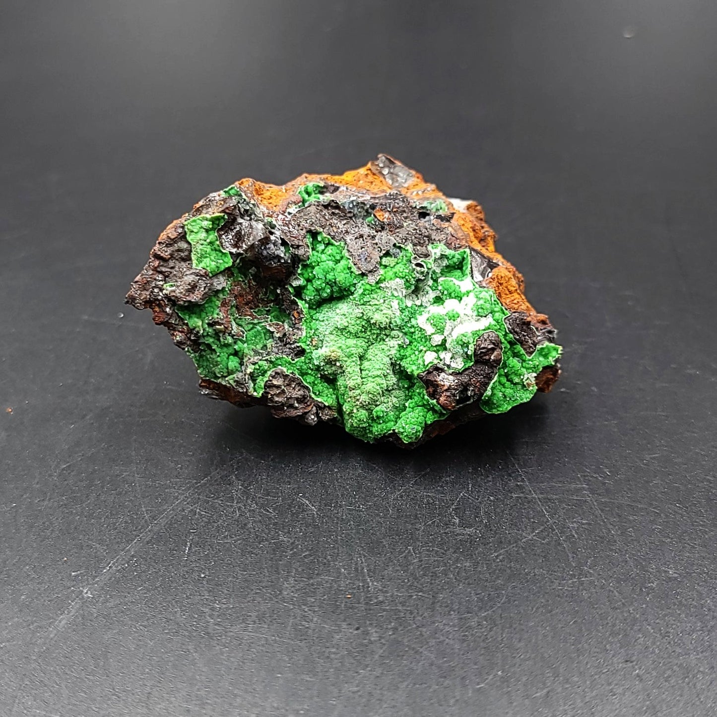 Azurite Cluster Geode Specimen medium - Elevated Metaphysical