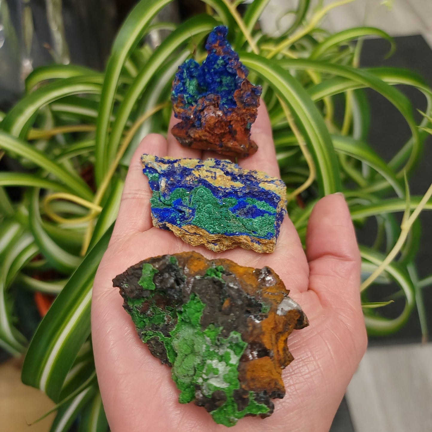 Azurite Cluster Geode Specimen medium - Elevated Metaphysical