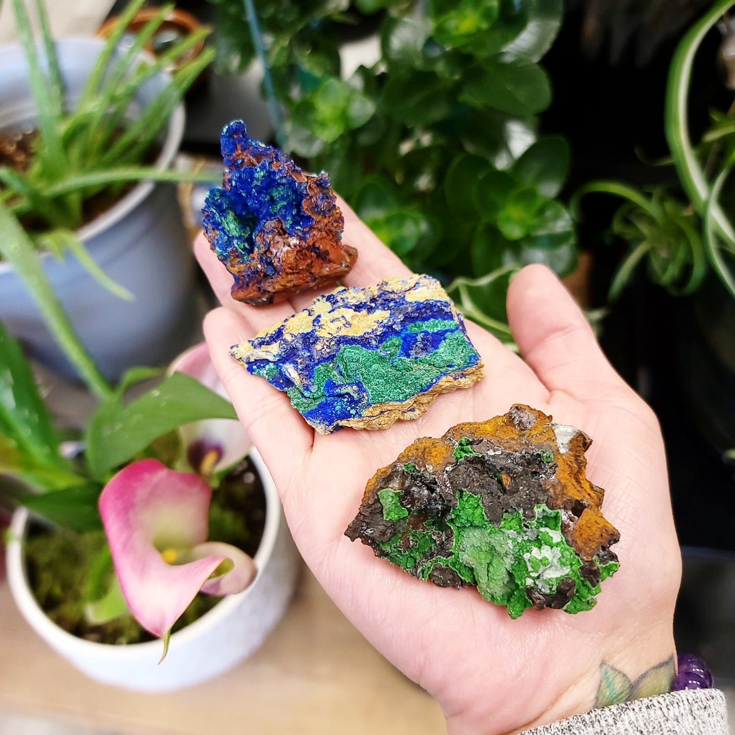 Azurite Cluster Geode Specimen medium - Elevated Metaphysical