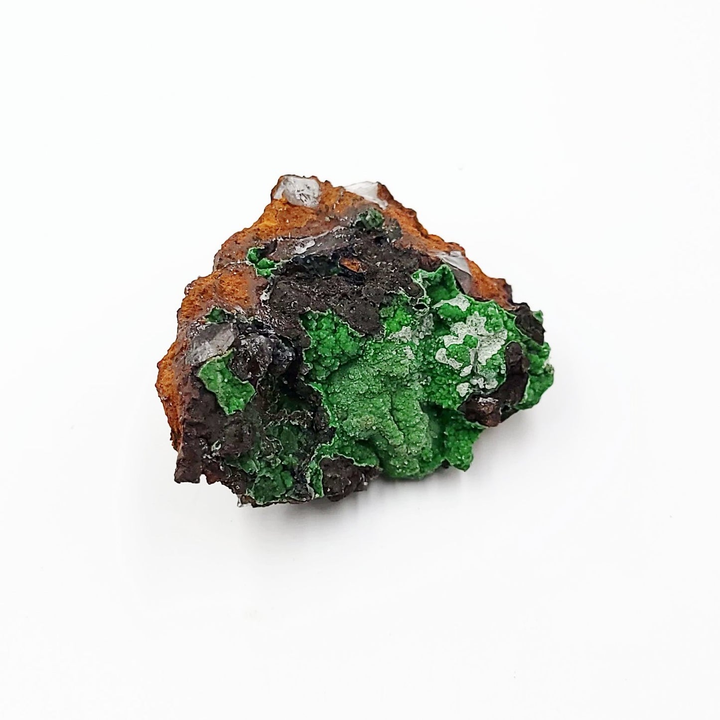 Azurite Cluster Geode Specimen medium - Elevated Metaphysical