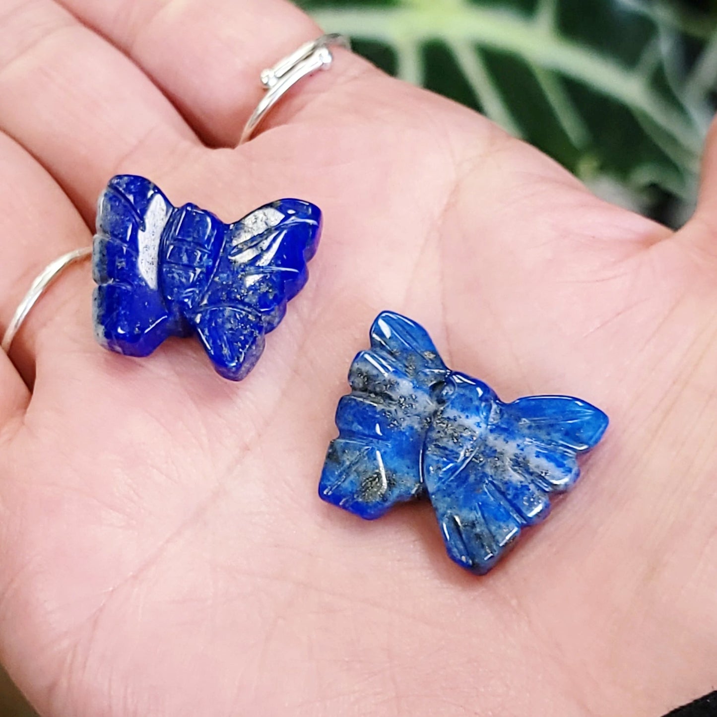 Lapis Lazuli Butterfly Stone 25mm 1" - Elevated Metaphysical