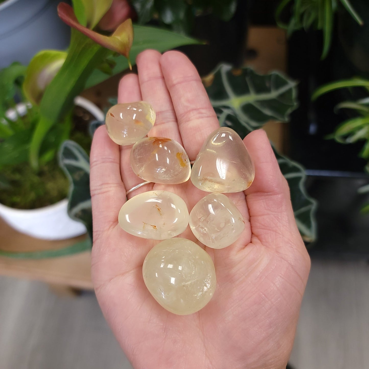 Citrine Tumbled Stone Natural Citrine Genuine Cirtine