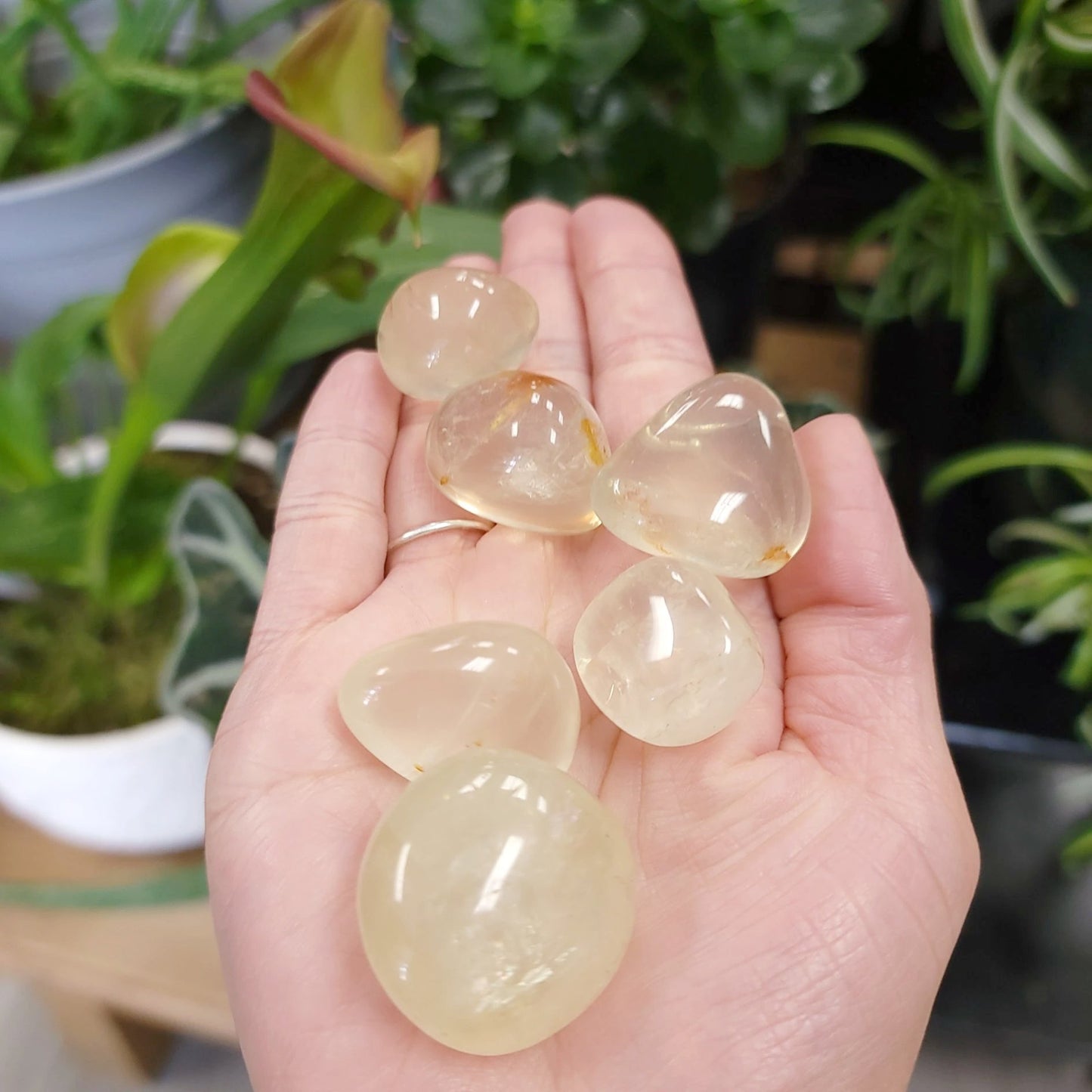 Citrine Tumbled Stone Natural Citrine Genuine Cirtine