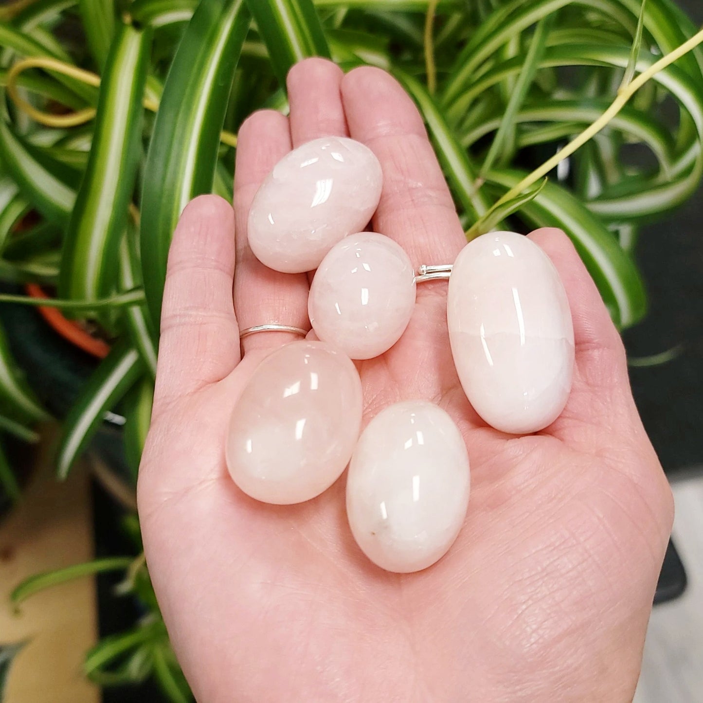 Rose Quartz Tumbled Stone HQ - Elevated Metaphysical