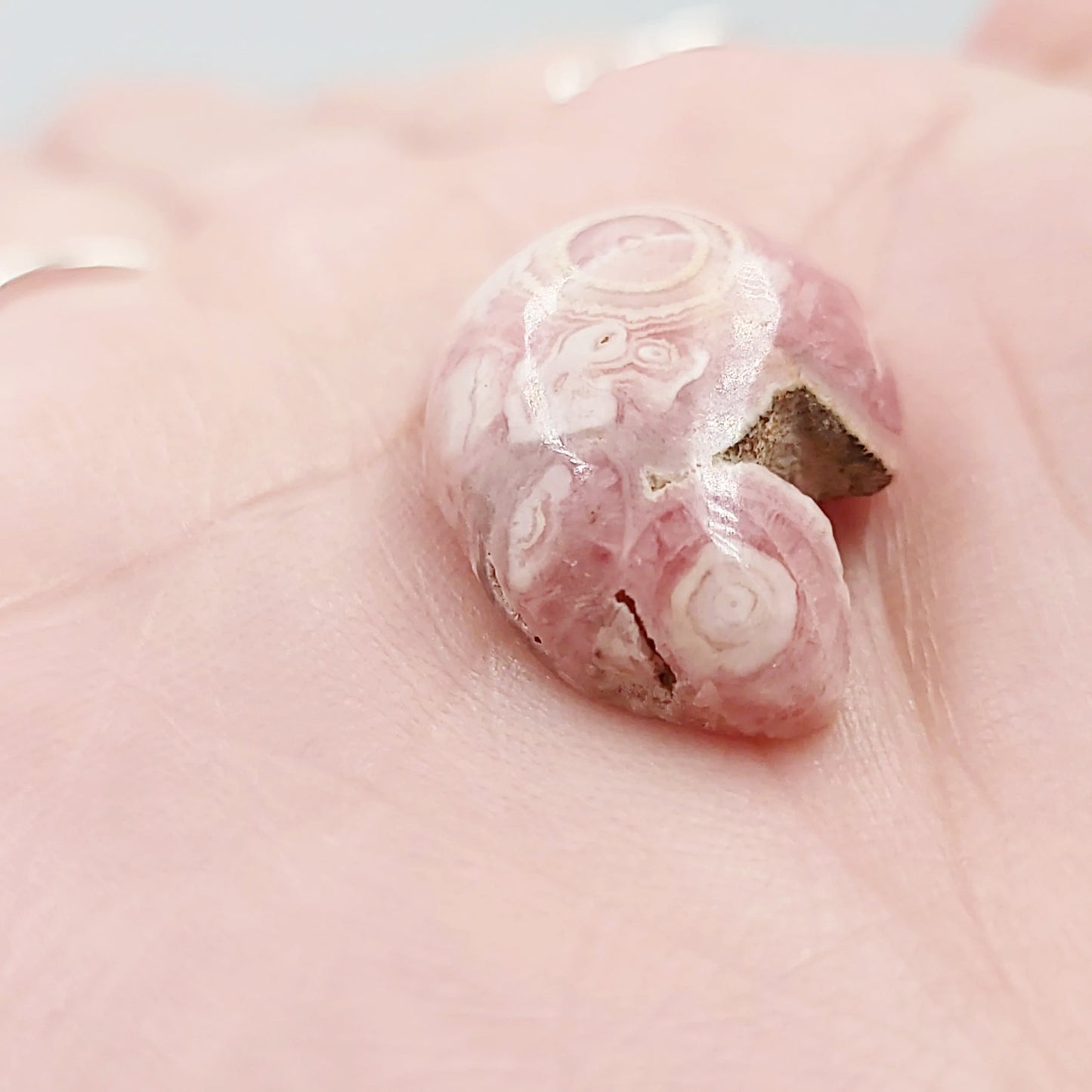Rhodochrosite Cabochon Free Form "Kidney" Polished Cut Stone - Elevated Metaphysical