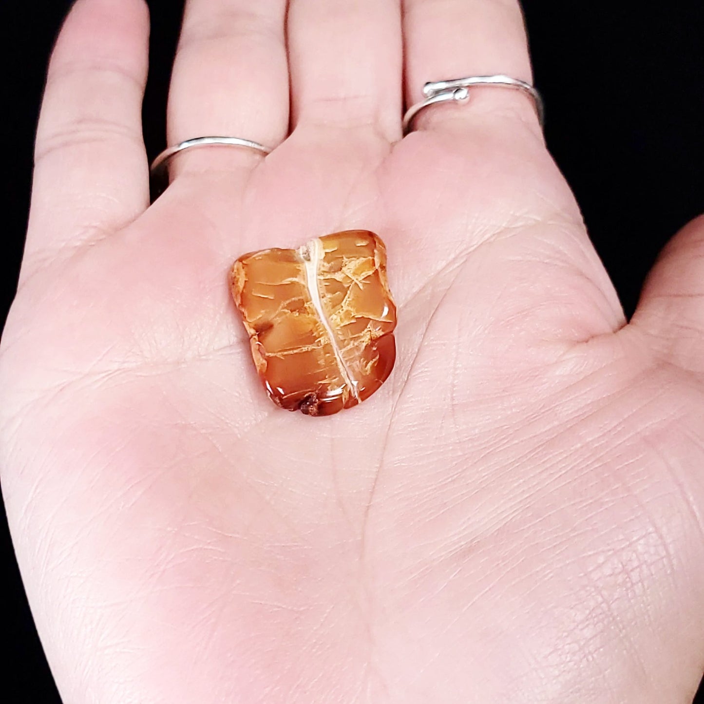 Carnelian Cabochon Free Form "Small" Polished Cut Stone - Elevated Metaphysical