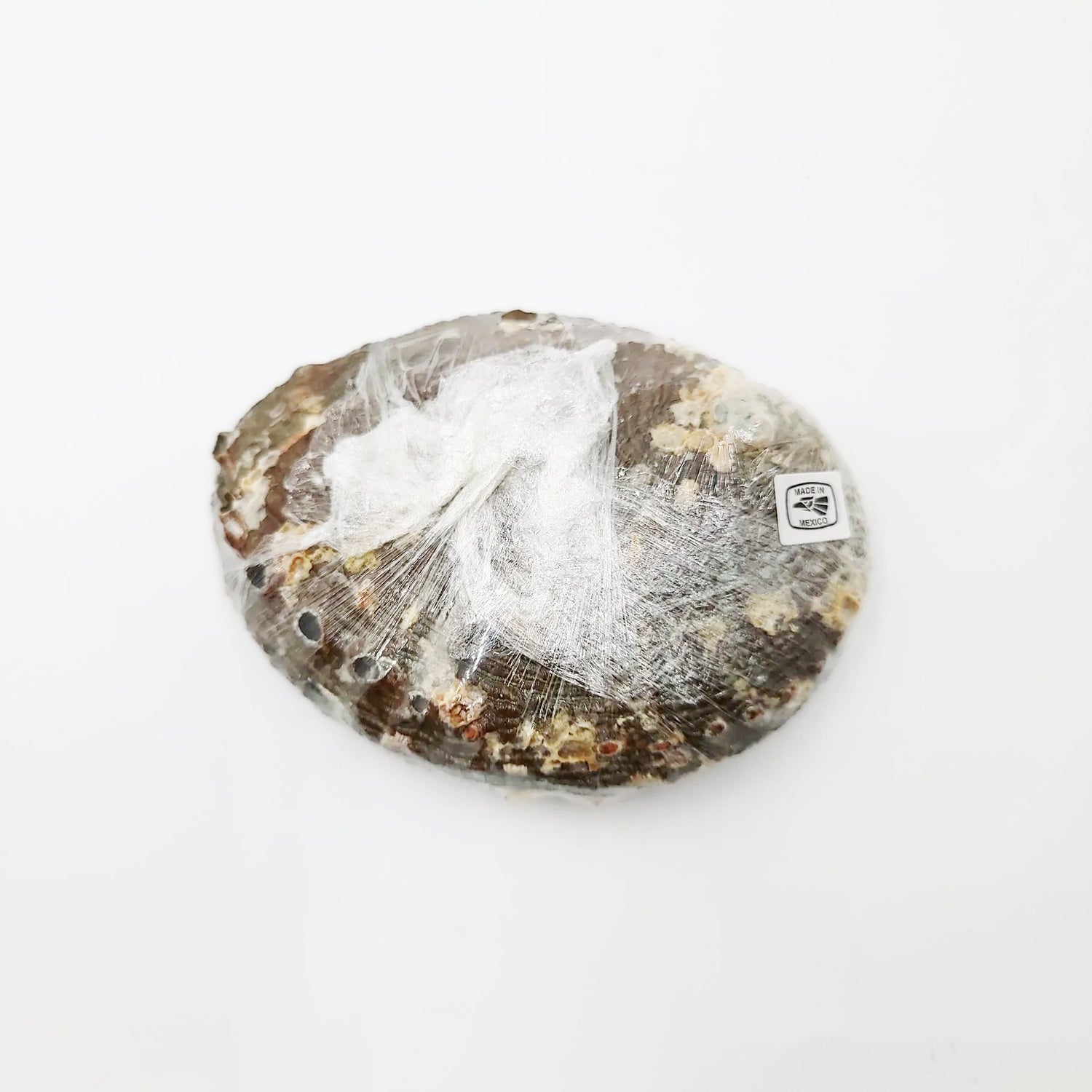 Abalone Shell 4-5" - Elevated Metaphysical