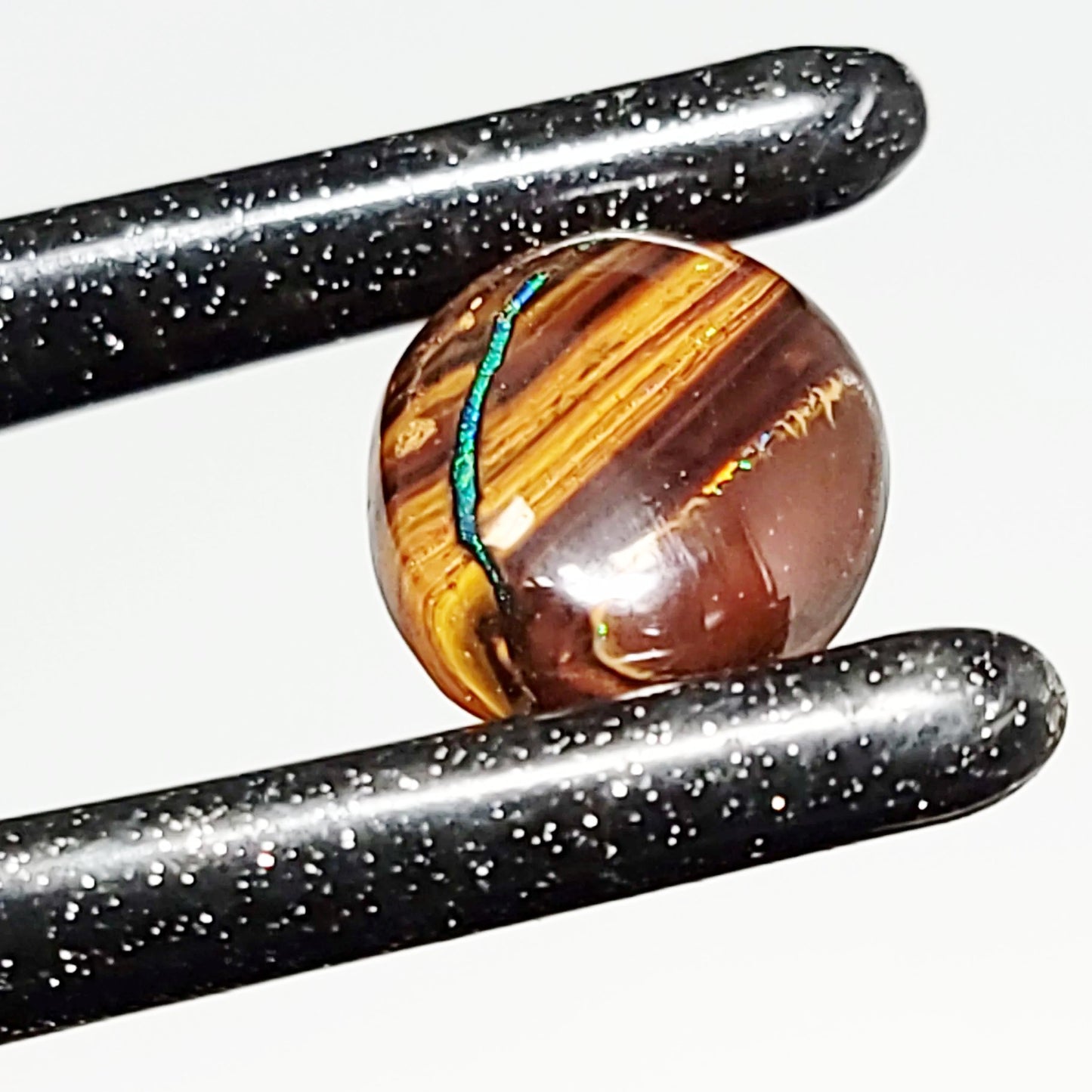 Koroit Nut Boulder Opal 11.5ct Cabochon Oval Polished Cut Stone - Elevated Metaphysical