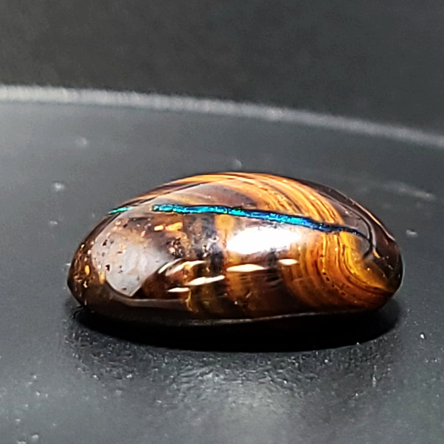 Koroit Nut Boulder Opal 11.5ct Cabochon Oval Polished Cut Stone - Elevated Metaphysical