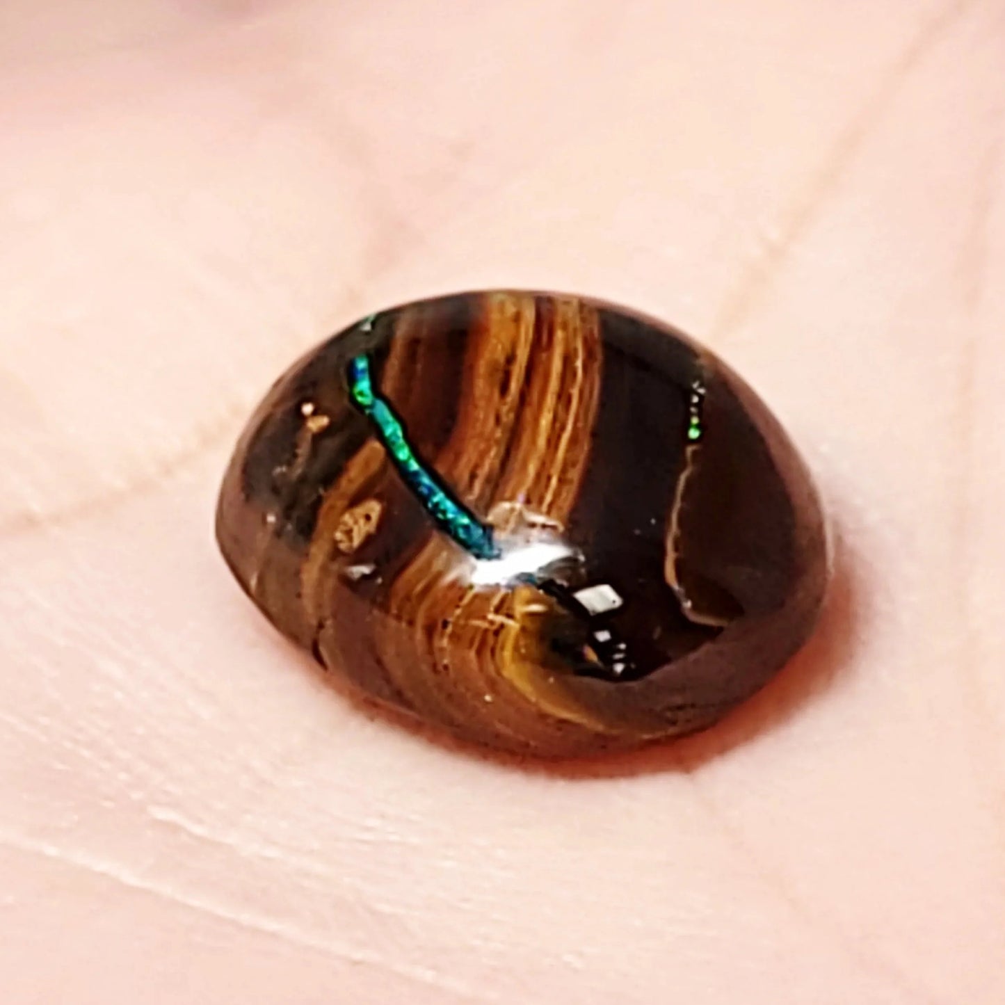 Koroit Nut Boulder Opal 11.5ct Cabochon Oval Polished Cut Stone - Elevated Metaphysical