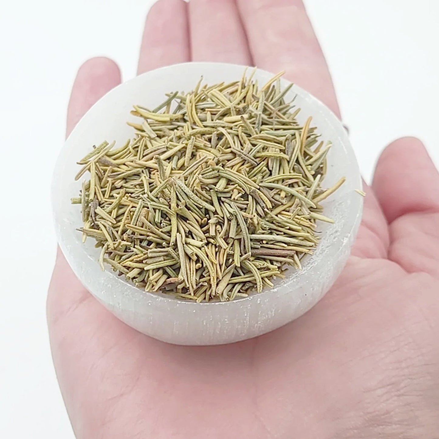 Rosemary Leaves Herb