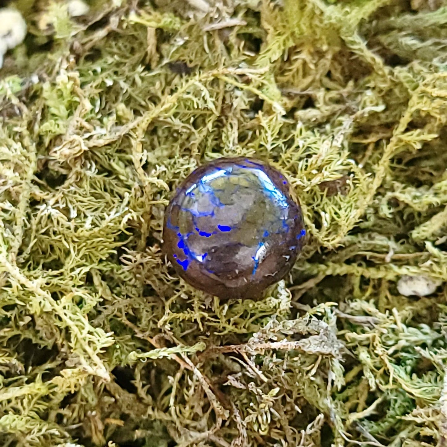 Purple Boulder Opal 6.0ct Cabochon Winton Matrix Round Polished Cut Stone - Elevated Metaphysical