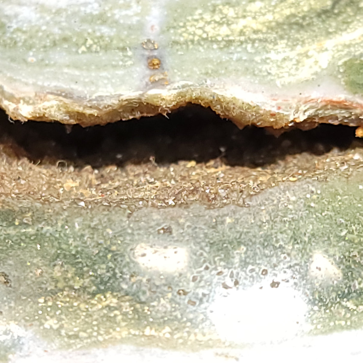 Ocean Jasper Sphere 90mm 3.55" 34.1oz 967g - Elevated Metaphysical