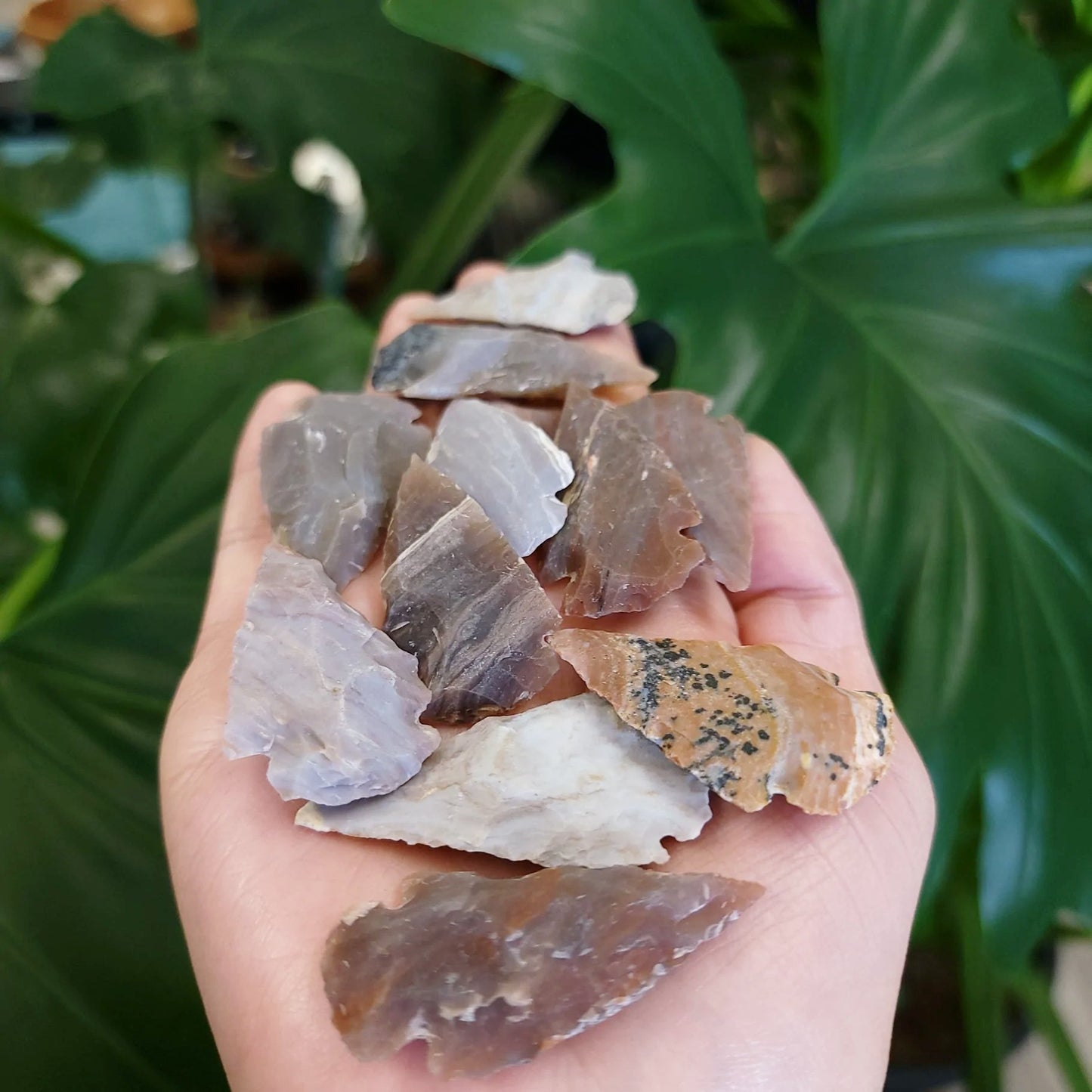 Agate Arrowhead Rough Stone - Elevated Metaphysical