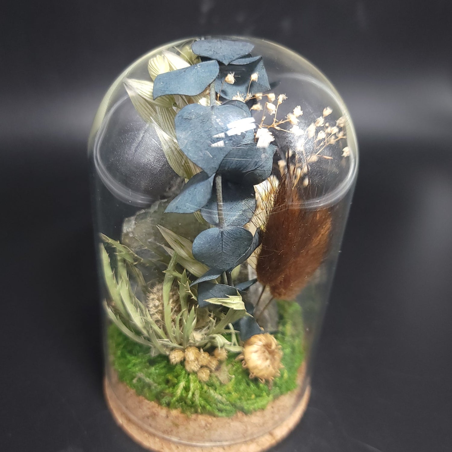 Labradorite, Jackknife Beetle, and Raccoon Mandible Curio Capsule Oddities Jar - Elevated Metaphysical