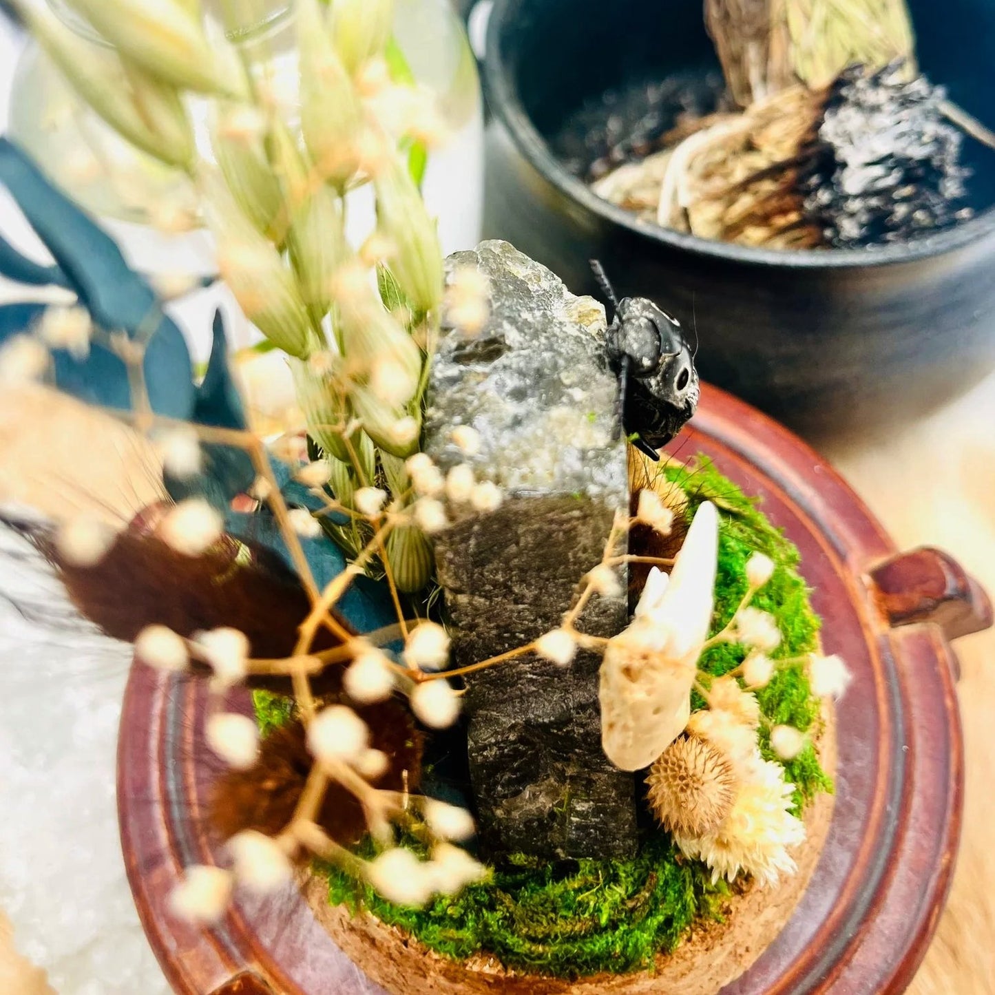 Labradorite, Jackknife Beetle, and Raccoon Mandible Curio Capsule Oddities Jar - Elevated Metaphysical