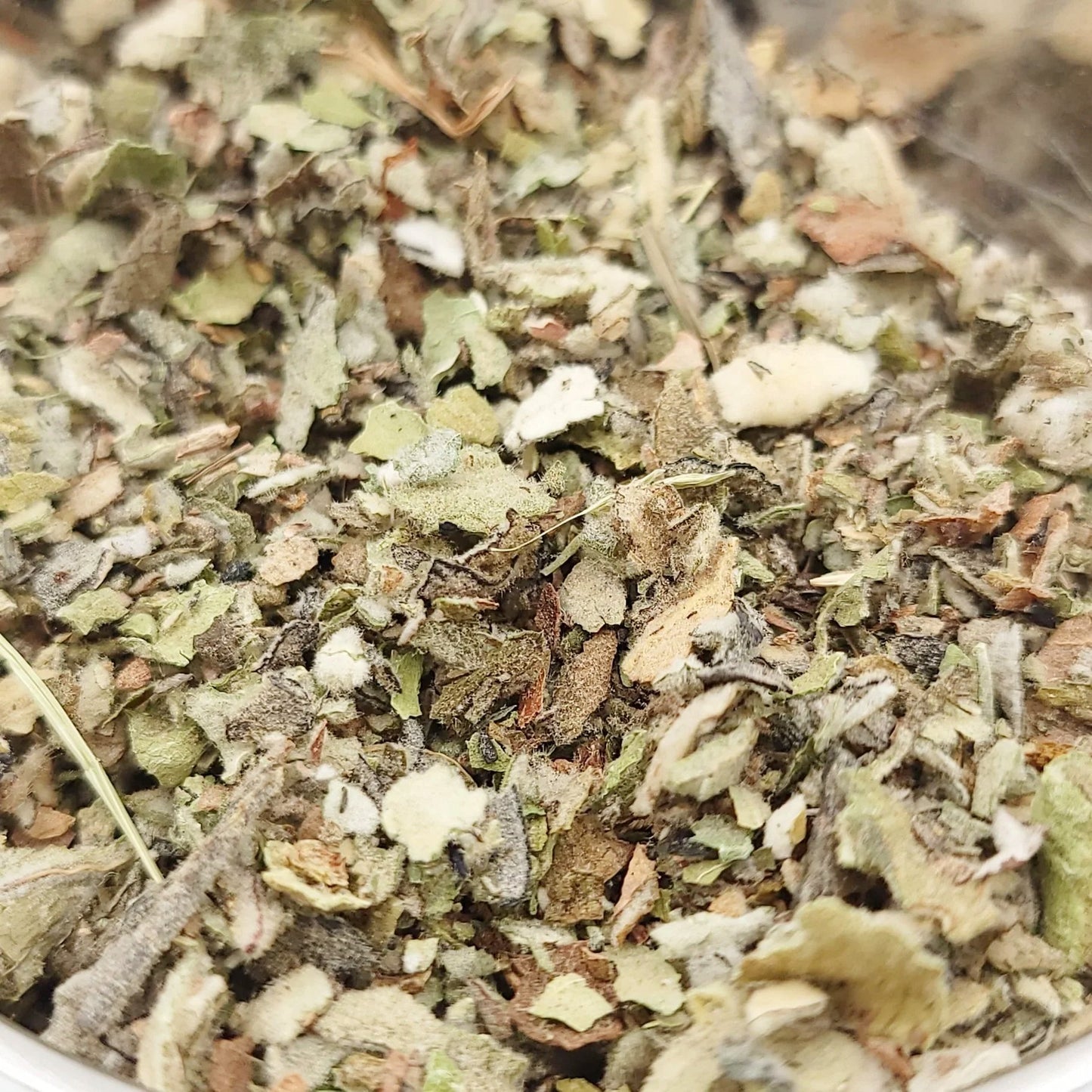 Mullein Leaf Leaves Herb