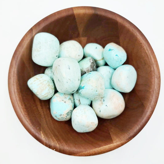 Turquoise Tumbled Stone HQ "Large" - Elevated Metaphysical