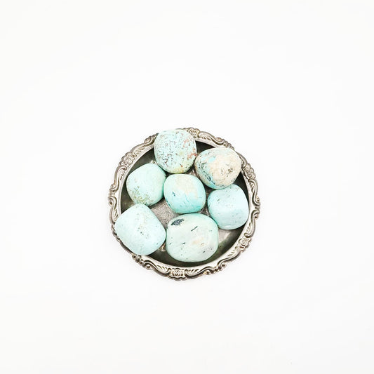 Turquoise Tumbled Stone HQ "Large" - Elevated Metaphysical