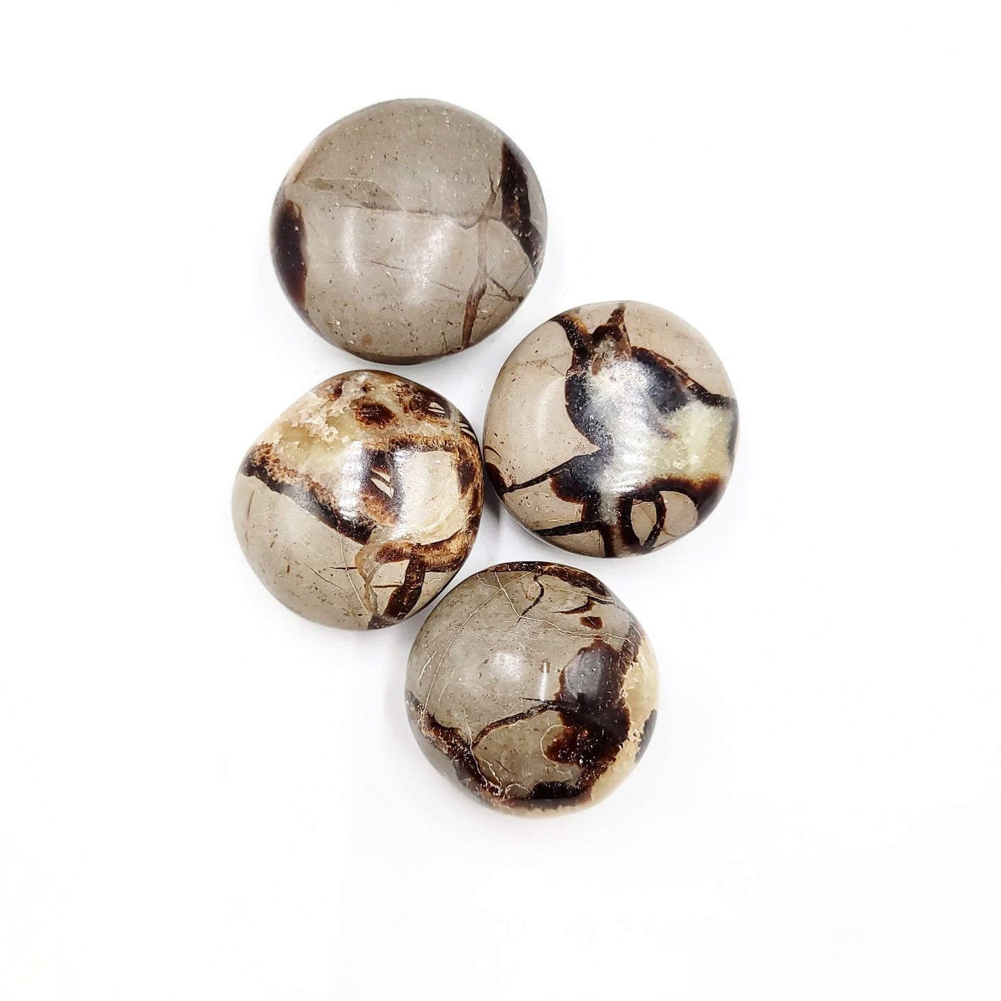 Septarian Palm Stone Gallet - Elevated Metaphysical