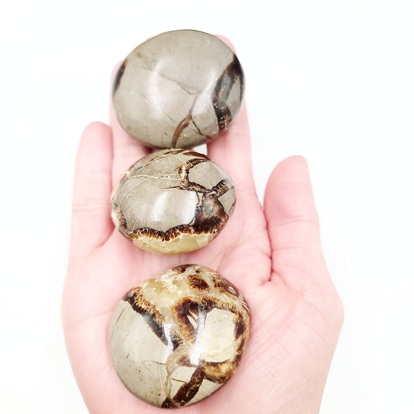 Septarian Palm Stone Gallet - Elevated Metaphysical