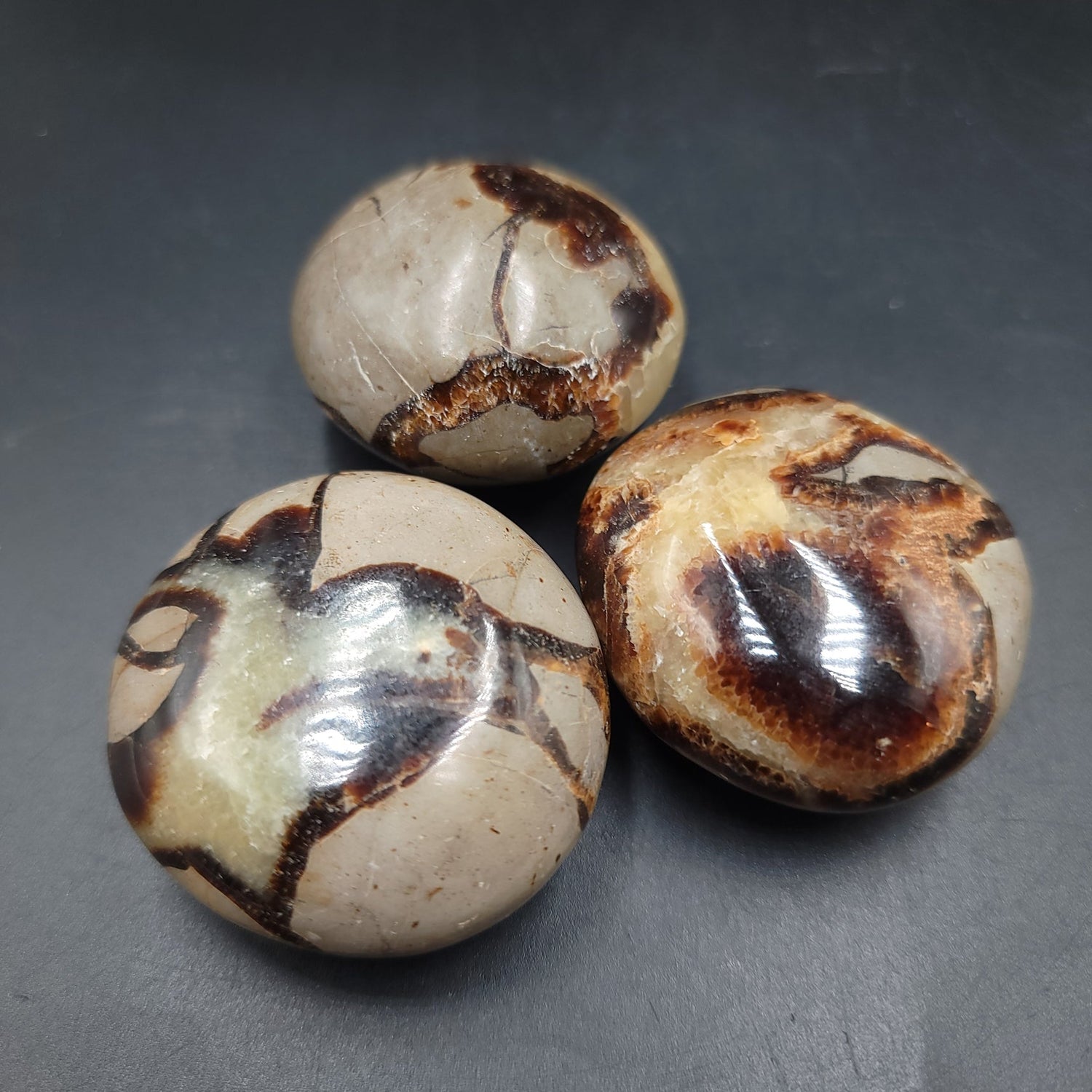Septarian Palm Stone Gallet - Elevated Metaphysical
