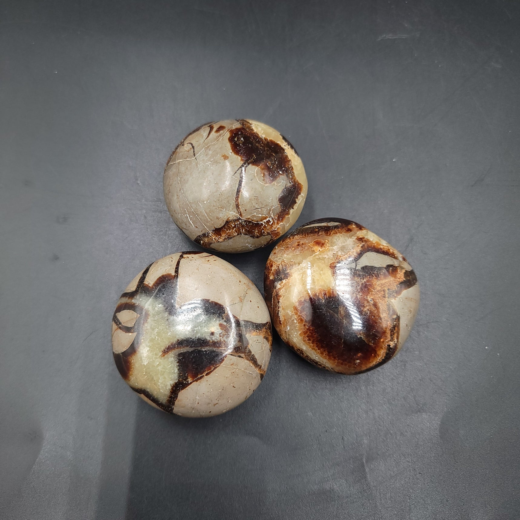 Septarian Palm Stone Gallet - Elevated Metaphysical