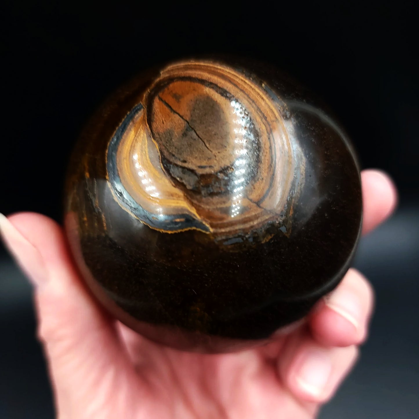 Tiger Eye Sphere 82mm 2.85" 518g 18.3oz