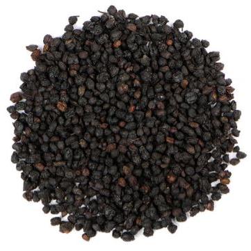 Elderberry Whole Edlerberries