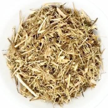 Hierba Del Sapo Mexican Thistle