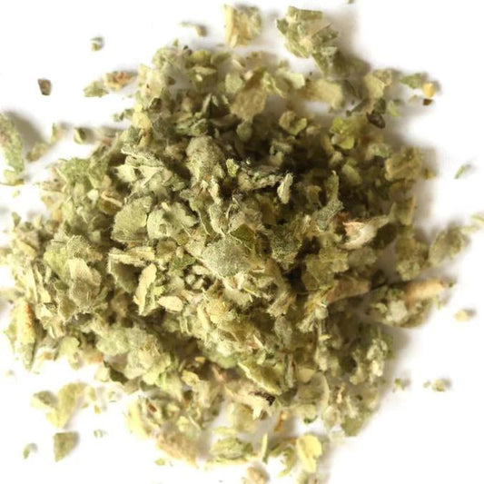 Mullein Leaf Leaves Herb