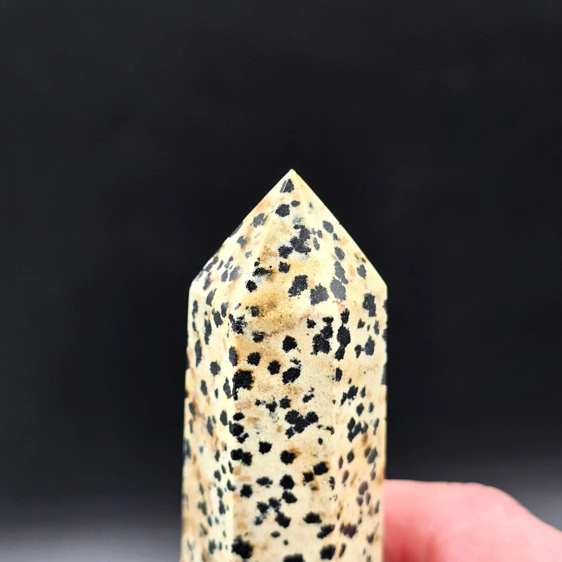 Dalmatian Jasper Tower Dalmatian Jasper Point 3 1/4" 85mm - Elevated Metaphysical