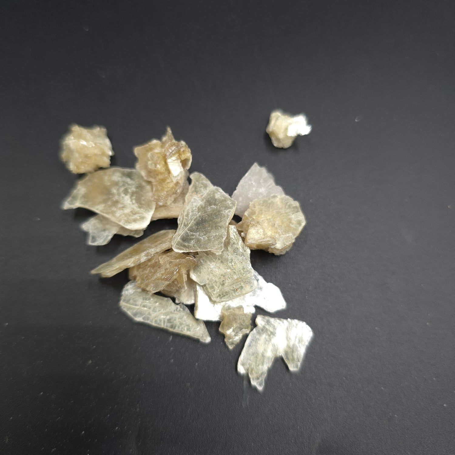 Gold Star Muscovite Mica Rough Stone - Elevated Metaphysical
