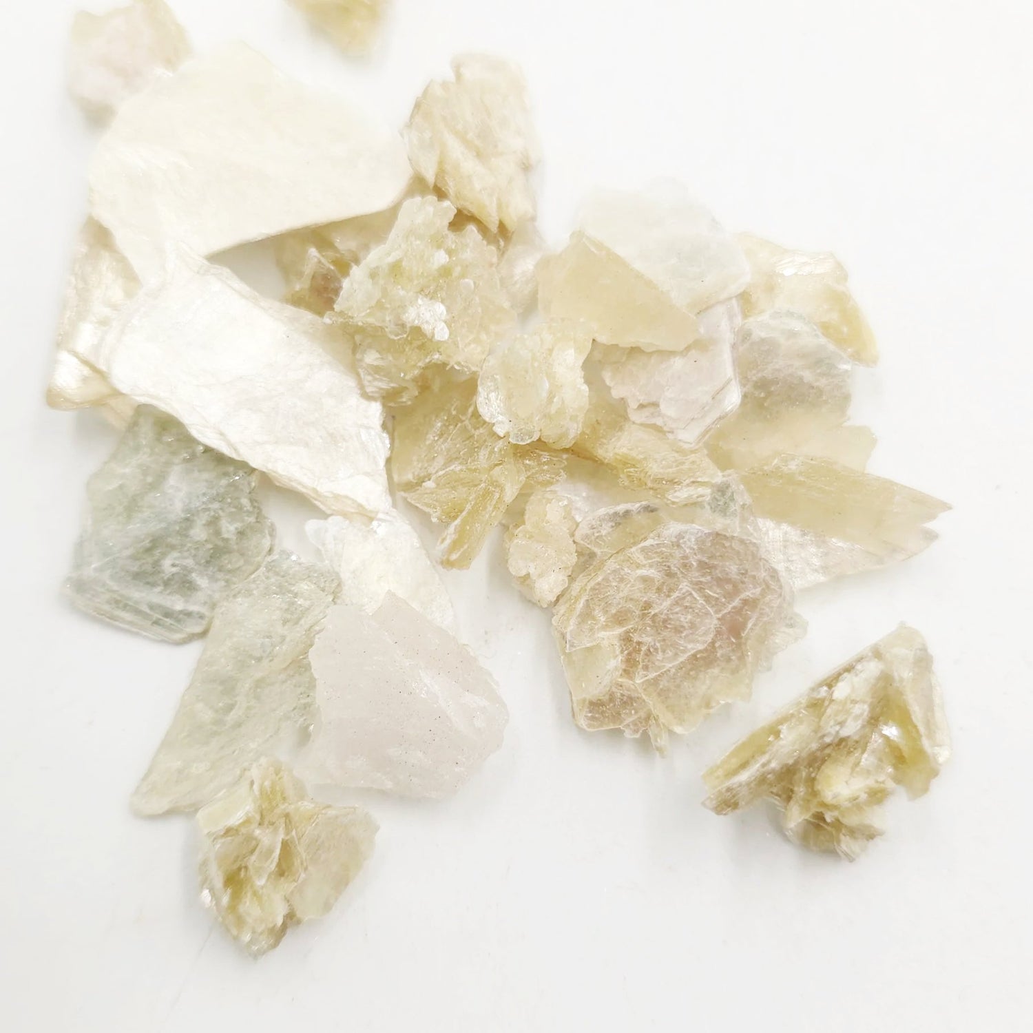 Gold Star Muscovite Mica Rough Stone - Elevated Metaphysical