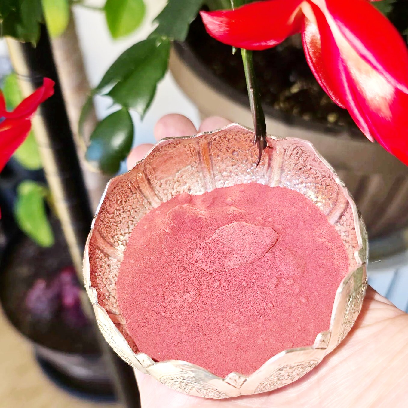 Beet Root Powder - Elevated Metaphysical