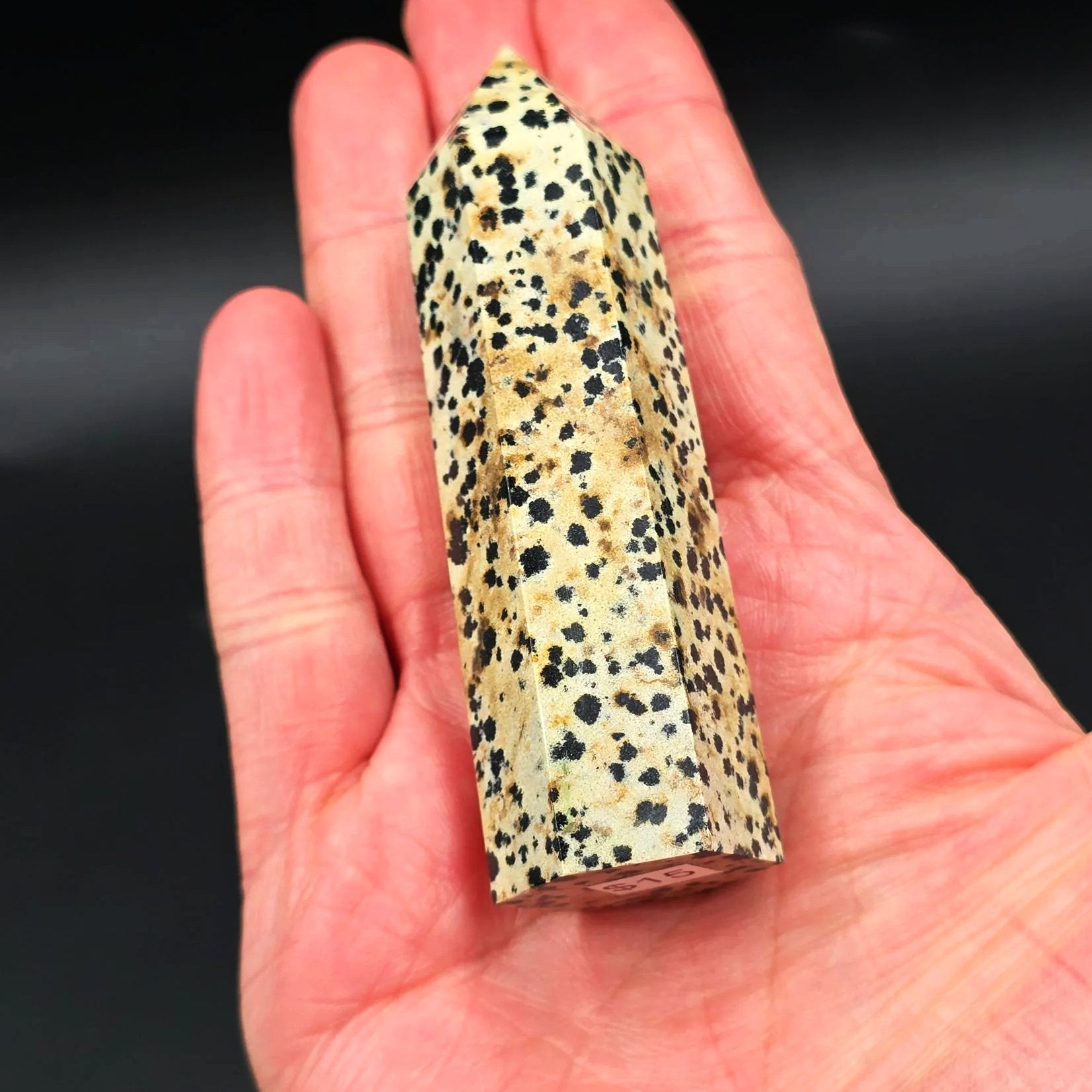 Dalmatian Jasper Tower Dalmatian Jasper Point 3 1/4" 85mm - Elevated Metaphysical